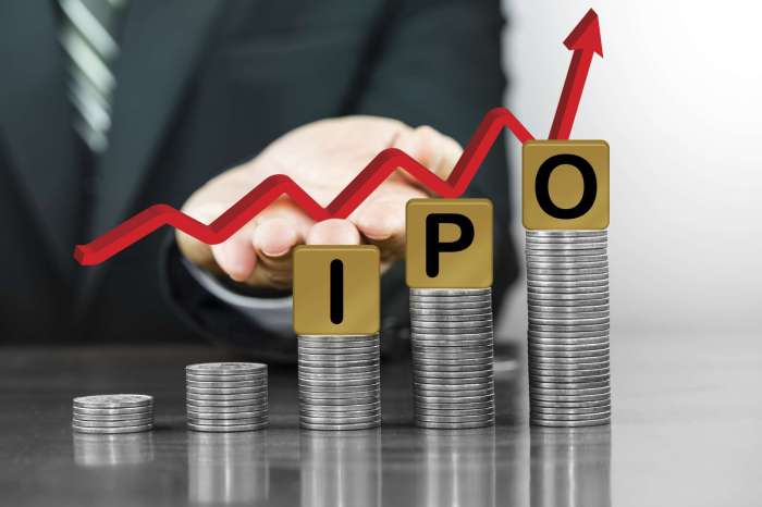 How investing in ipo works