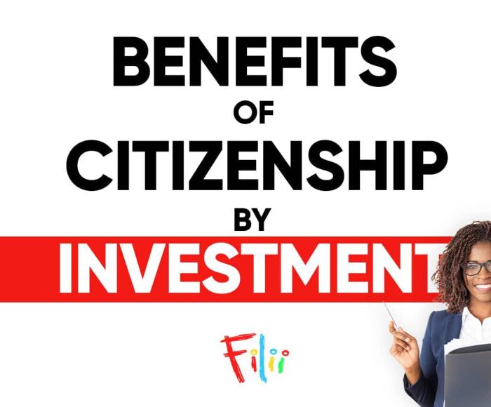 How much investment required for us citizenship