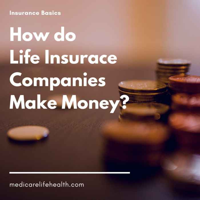 Where insurance companies invest their funds