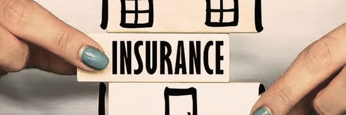 How many insurance companies are there in the us