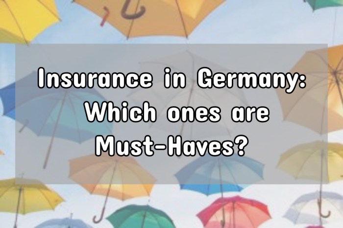 Germany insurance contents types