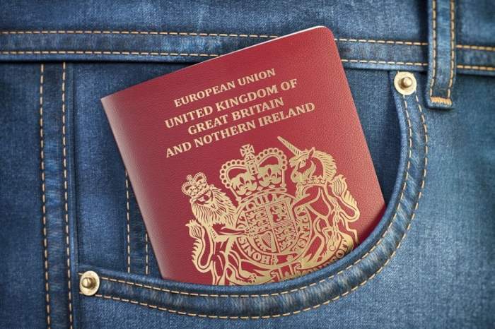 How much investment required for uk citizenship