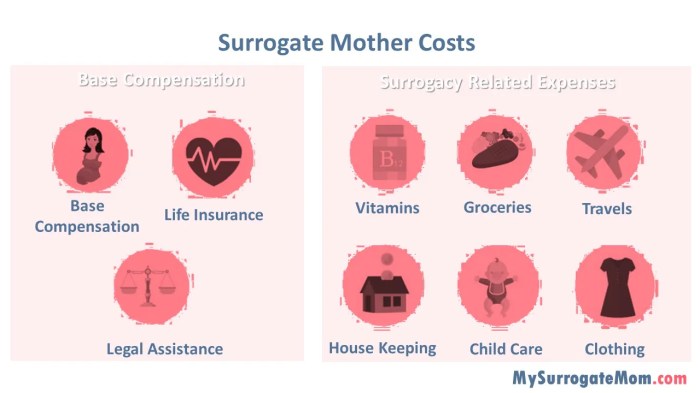 Cost surrogacy surrogate costs mysurrogatemom